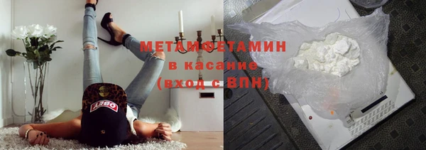 прущие грибы Краснослободск