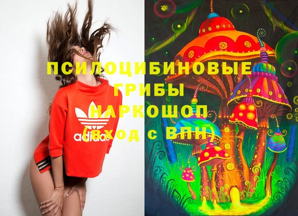 стафф Коряжма